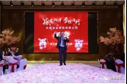 龙业集团