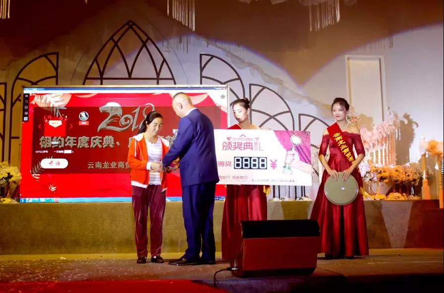 云南龙业集团