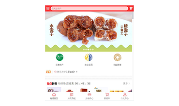 龙业商城简介